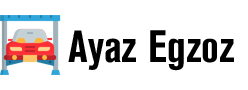 Ayaz Egzoz